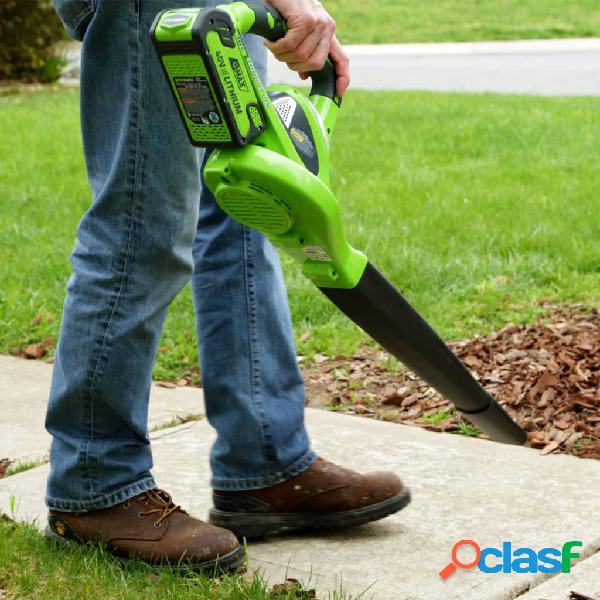 Greenworks Aspiratore Manuale per Prato 40 V Verde