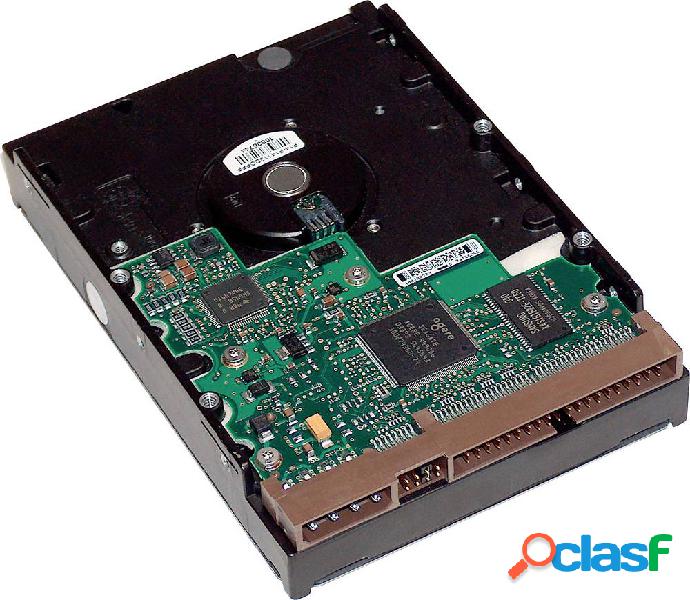 HP 1 TB Hard Disk interno 3,5 SATA 6 Gb/s LQ037AA