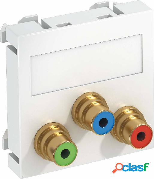 OBO Bettermann 6105144 Coperchio Supporto per modulo