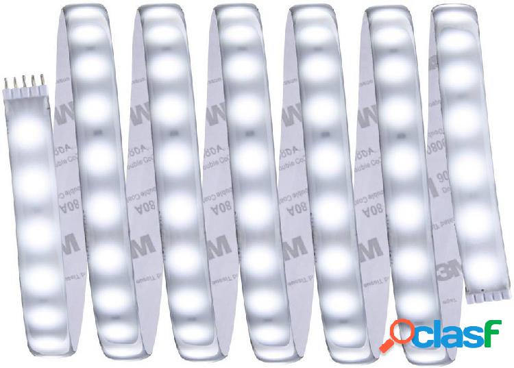 Paulmann 70548 Striscia LED con spina/presa 24 V 2.5 m
