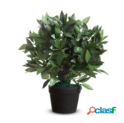 Pianta ornamentale - lauro - H50cm - Paperflow (unit vendita