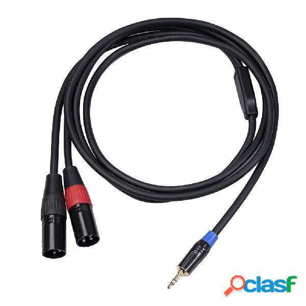 REXLIS 3.5mm TRS to Dual XLR Male Audio Cable 1 to 2 Stereo