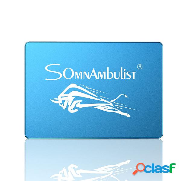Somnambulist 2.5 inch SATA III SSD 128GB/256GB/512GB/2TB 3D