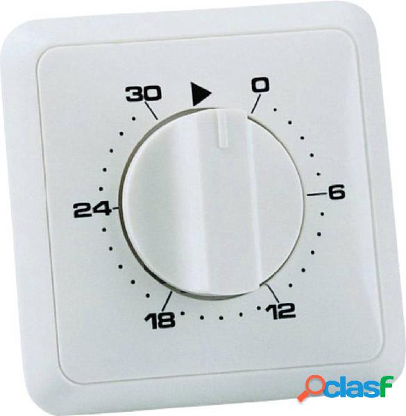 Wallair 20100249 Timer da incasso analogico Giornaliero 3680