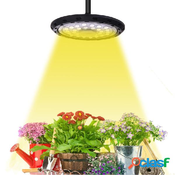 300W LED Coltiva la lampadina idroponica a spettro completo