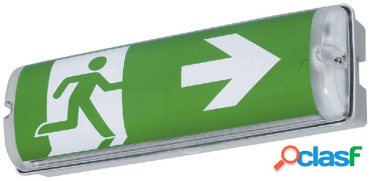 B-SAFETY BR564230 Indicazione via di fuga illuminata a LED