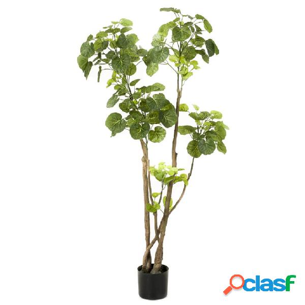 Emerald Albero di Polyscias Artificiale Verde 135 cm 420292