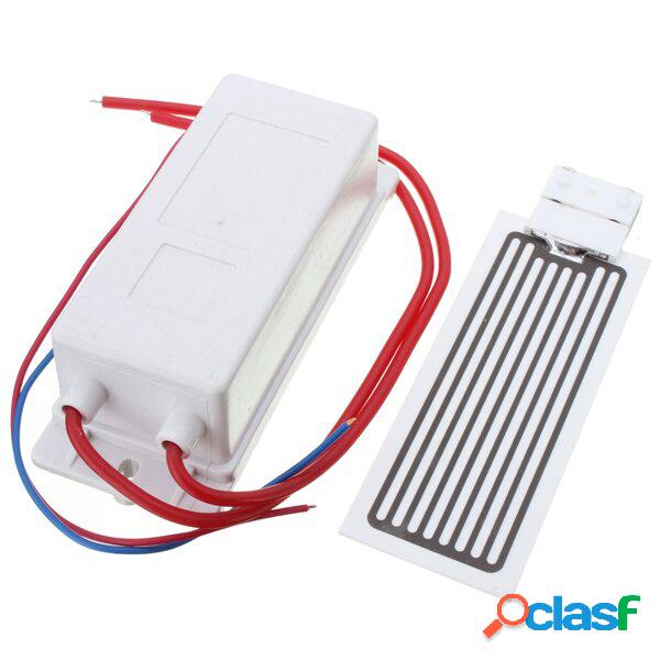 Generatore di ozono 220v 10g ozono con ceramica Piatto per