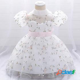 Kids Little Girls Dress Flower Party Birthday Party Layered