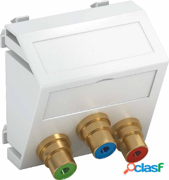 OBO Bettermann 6105156 Coperchio Supporto per modulo