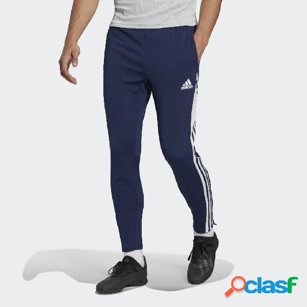 Pantaloni da allenamento Condivo 22