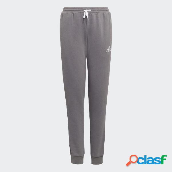 Pantaloni da allenamento Entrada 22