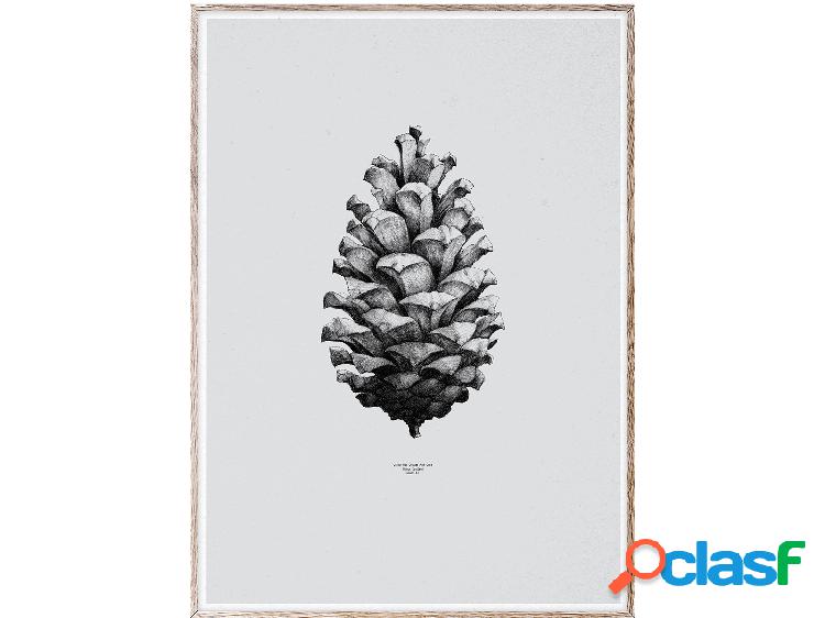 Paper Collective 1:1 Pine Cone (Grey) Stampa