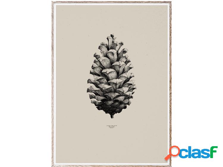 Paper Collective 1:1 Pine Cone (Sand) Stampa