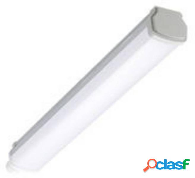 Philips Lighting Ledinaire WT060C L600 Lampada LED