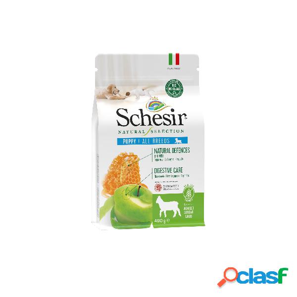 Schesir Natural Selection Dog ricco in agnello 490 gr