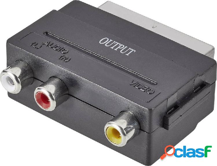 SpeaKa Professional SP-7870668 Scart / RCA Adattatore [1x