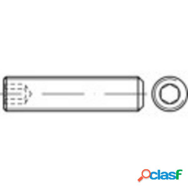 TOOLCRAFT 117645 Grano filettato M6 10 mm Acciaio 100 pz.