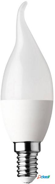 WOFI 5113 LED (monocolore) ERP F (A - G) E14 6 W 1 pz.