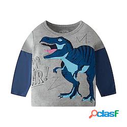 Bambino Da ragazzo maglietta Manica lunga Dinosauro Grigio
