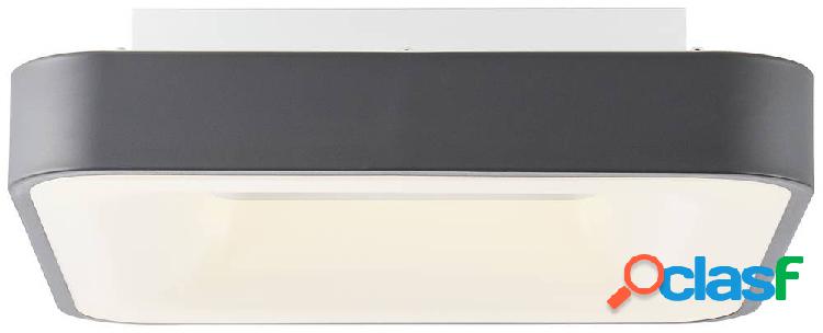 Brilliant Saria G97074/22 Plafoniera LED 24 W ERP: F (A - G)