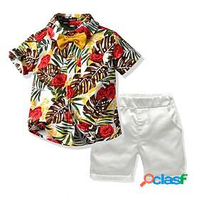 Kids Boys Shirt Shorts Short Sleeve 2 Pieces Rainbow Rose