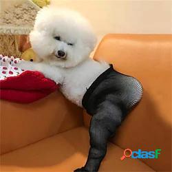 creativo nuovo abbigliamento per animali domestici cane foto