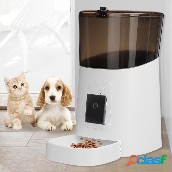 6L remoto Visibilità Pet Feeder Temporizzazione Automatica