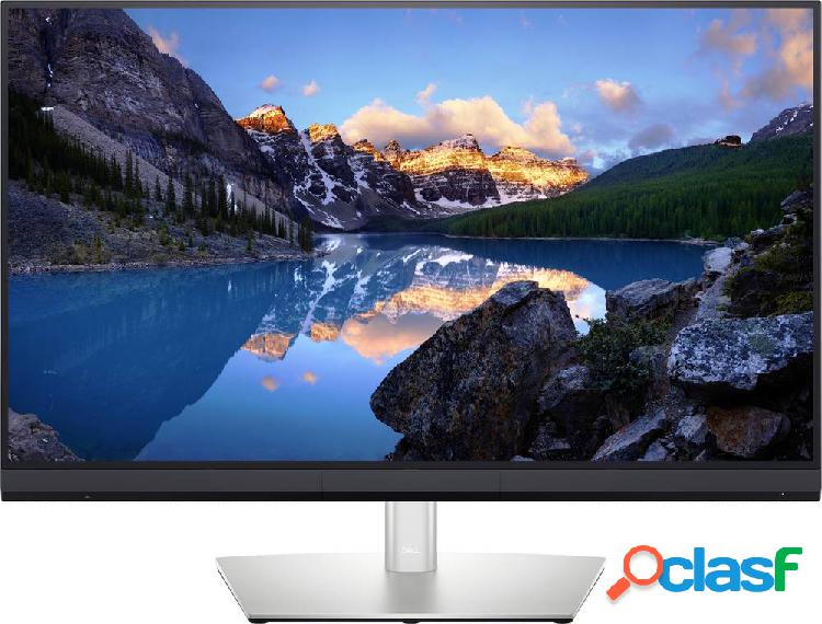 Dell UltraSharp UP3221Q Monitor LED 80 cm (31.5 pollici) ERP