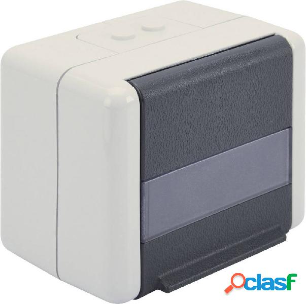 Digitus Presa di rete Da parete 2 Porte Grigio