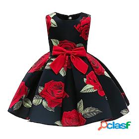 Kids Little Dress Girls Floral Party A Line Dress Print