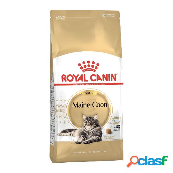 Royal Canin Cat Adult Maine Coon 2 kg