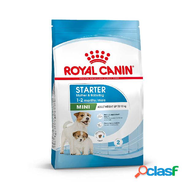 Royal Canin Dog Mini Starter 1 kg