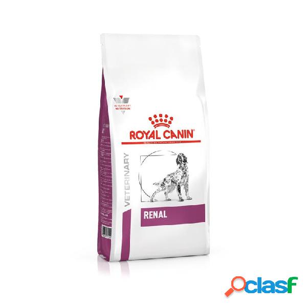 Royal Canin V-diet - Royal Canin Renal Per Cani