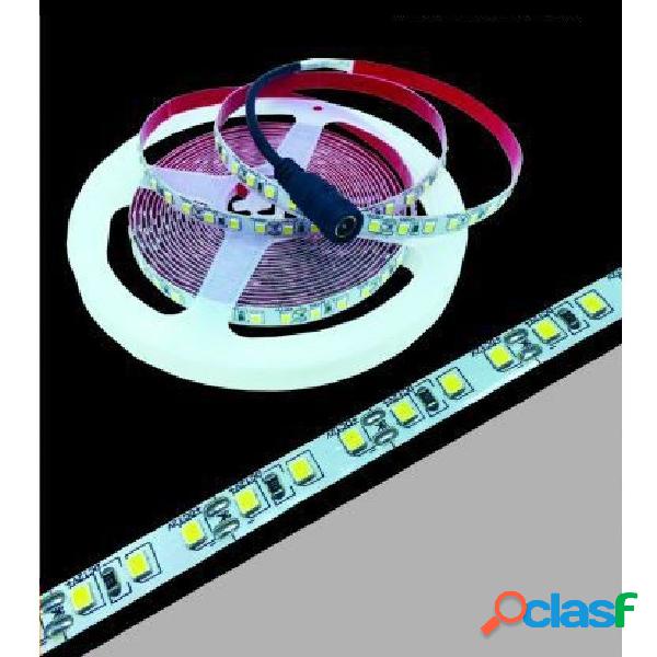 STRISCIA LED 2835 STRIP 5MT BOBINA LUCE 3000K 4000K 6500K
