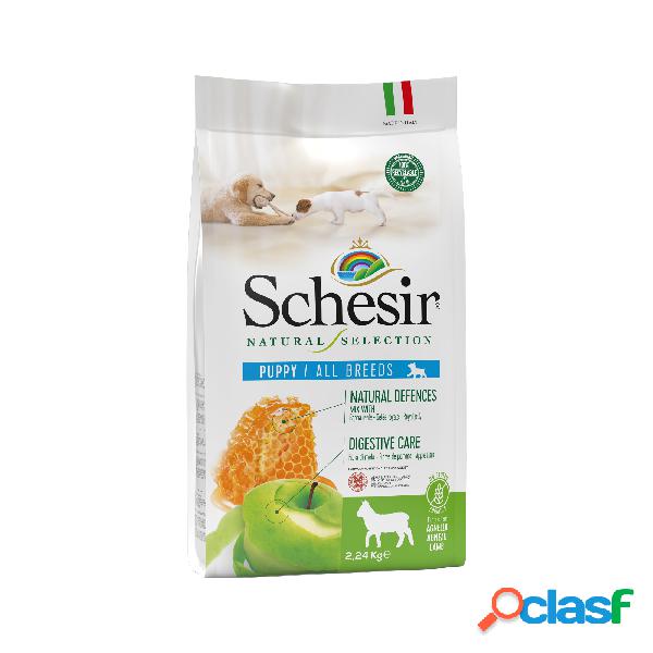 Schesir Natural Selection Dog Puppy ricco in agnello 2,24 kg