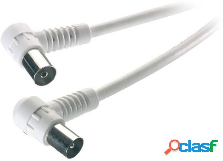 Vivanco Antenna Cavo [1x Spina antenna 75 Ω - 1x Presa