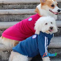 maglione per animali domestici in stile campus teddy bichon