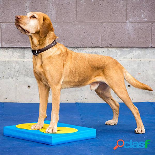FitPAWS Pad per l'Allenamento dell'Equilibrio per Cani