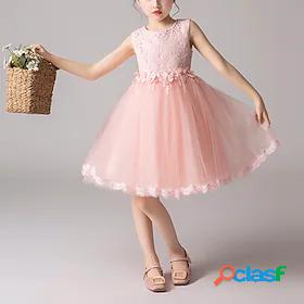 Kids Little Girls' Dress Floral Lace Party Princess Solid