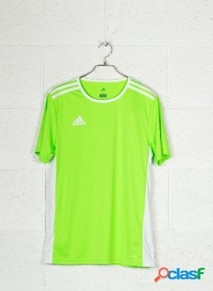 MAGLIA ENTRADA 18