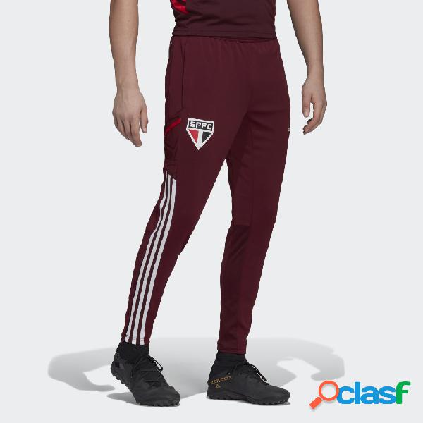 Pantaloni da allenamento Condivo 22 São Paulo FC