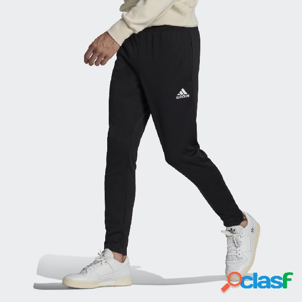 Pantaloni da allenamento Entrada 22