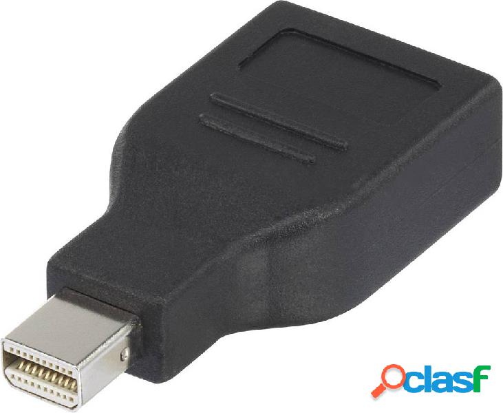 Renkforce RF-4174572 DisplayPort Adattatore [1x Spina Mini