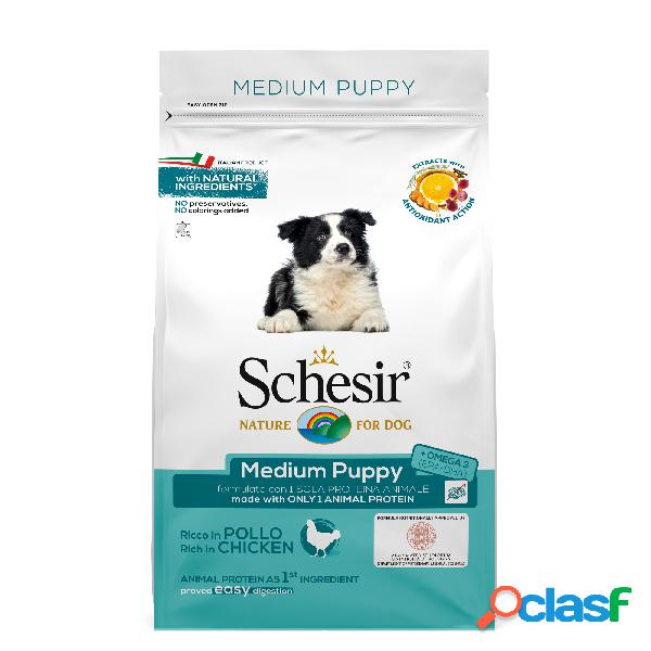 Schesir Dog Medium puppy ricco in pollo 3 kg