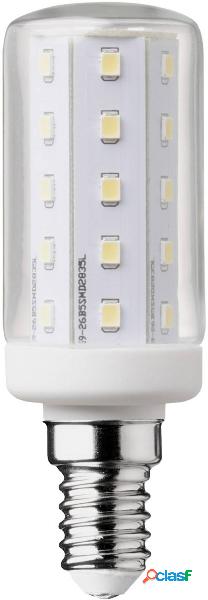 WOFI 5130 LED (monocolore) ERP F (A - G) E14 4 W (Ø) 3 cm 1