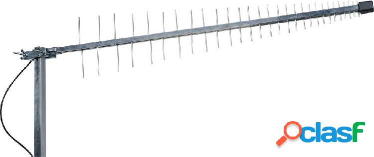Antenna direzionale GSM, UMTS, WiFi, LTE, 5G Wittenberg