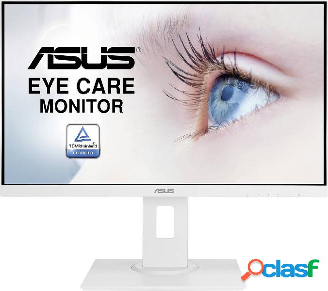 Asus VA24DQLB-W Monitor LED 60.5 cm (23.8 pollici) ERP F (A
