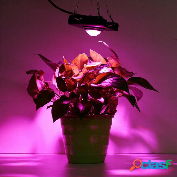 PANNOCCHIA a spettro completo Grow Light Controllo