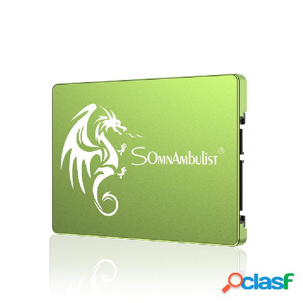 Somnambulist 2.5inch SATA 3 SSD Solid State Drives Built-in